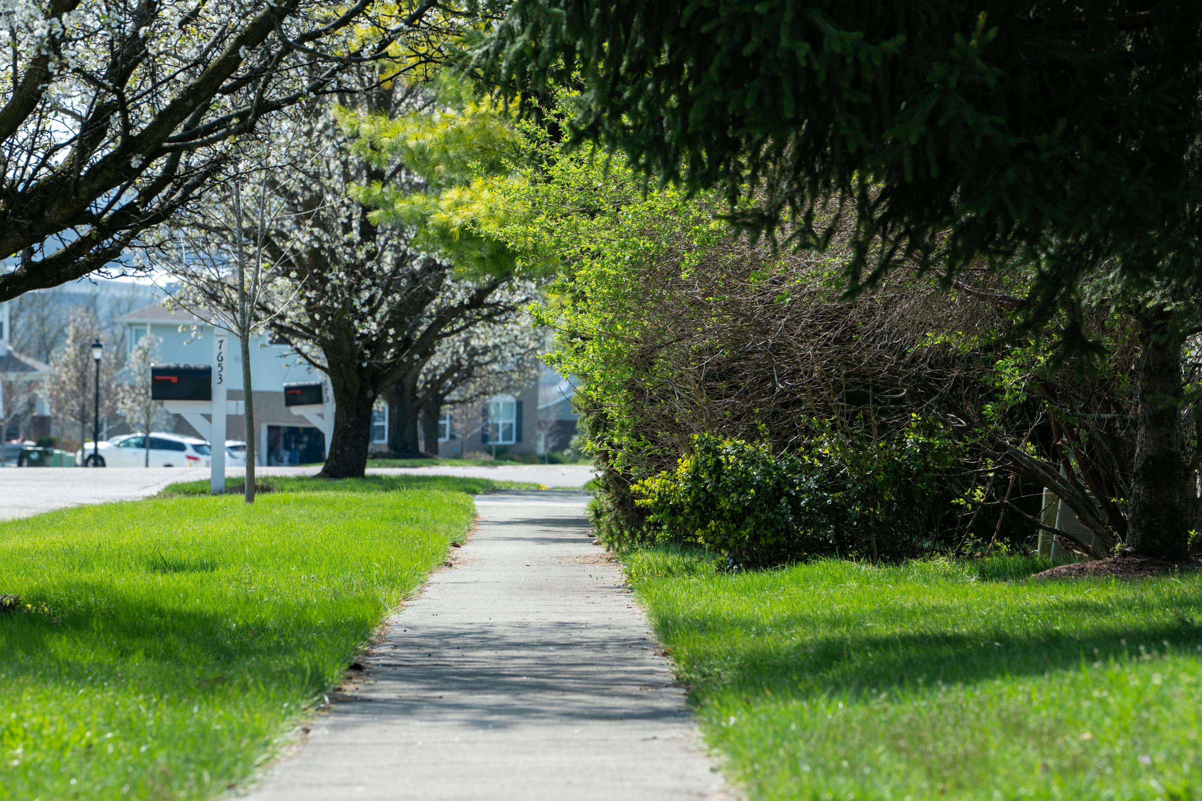 The Best Suburbs of Kansas City